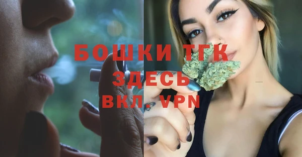 PSILOCYBIN Вязники