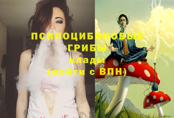 мдпв Вязьма